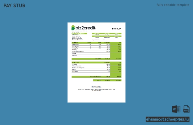 Beispielvorschau für das indische Konsumkreditunternehmen Biz2Credit Inc.